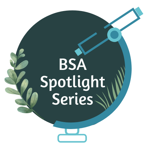 BSA Spotlight Series Logo