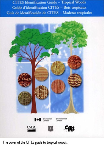 Dr. Alex C. Wiedenhoeft, The cover of the CITES guide to tropical woods.